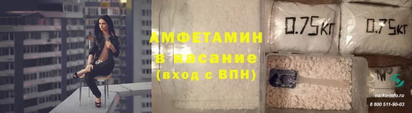 прущие грибы Верхний Тагил